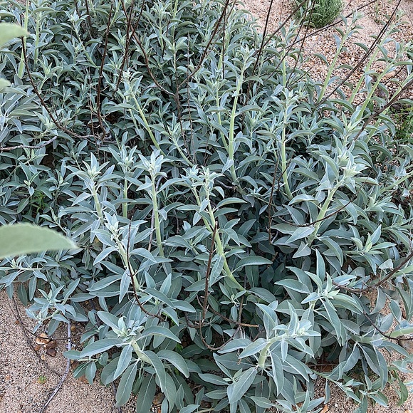 Harmony Gift Set Hand Crafted Home Decor New - Picture 8 of 13